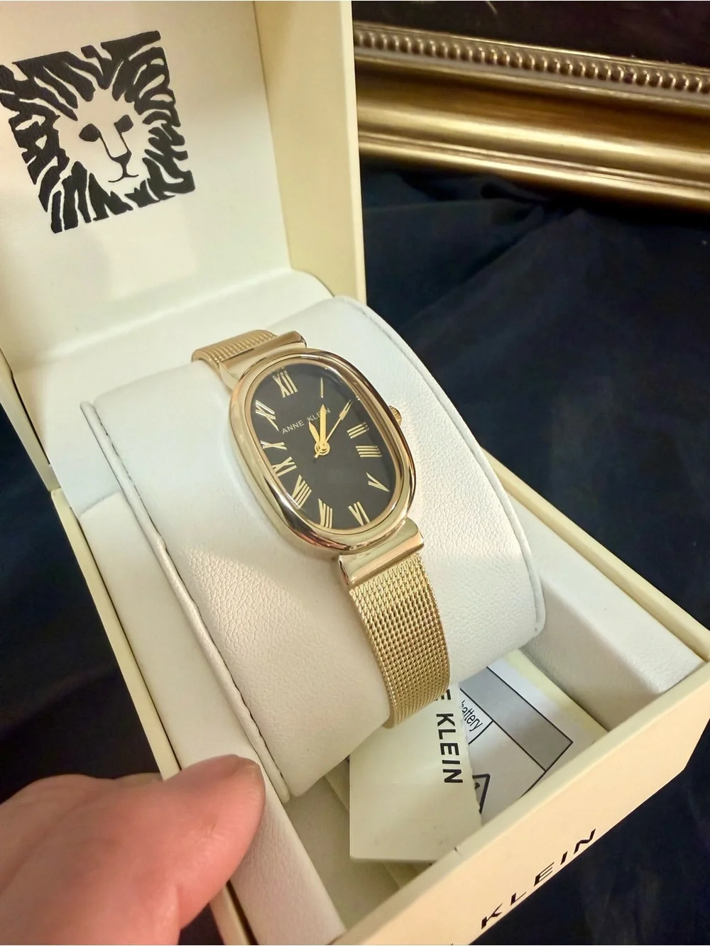 Anne Klein Gold Mesh Bracelet Watch with Black Dial and Oval Case